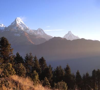 Short and Easy Ghorepani Poonhill Trek