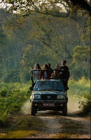 Jungle Safari in Nepal