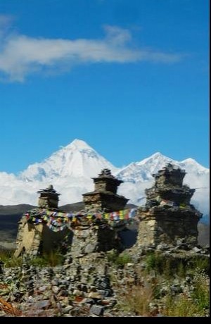 Mustang Trekking