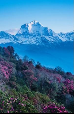 Dhaulagiri Range