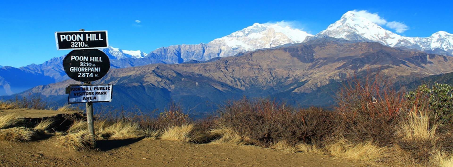 Ghorepani and Poon Hill Trek