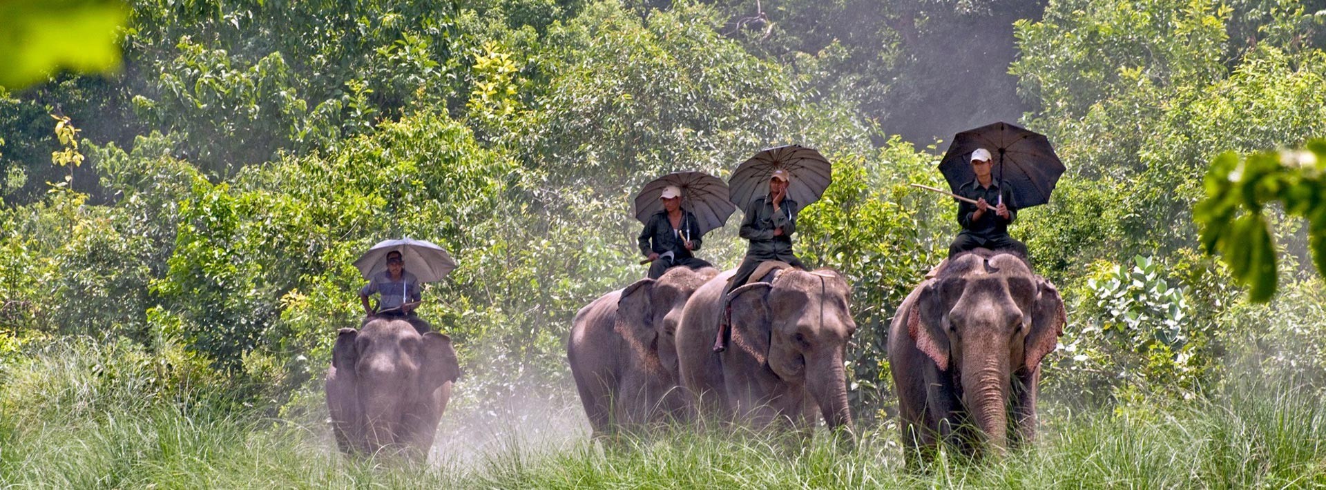 Jungle Safari in Chitwan National Park