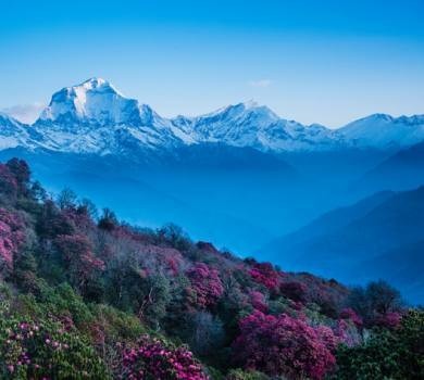 Ghorepani and Poon Hill Trek