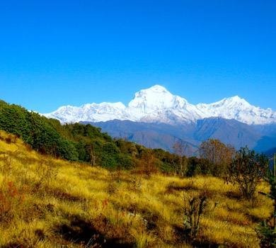 Khopra Danda Trek